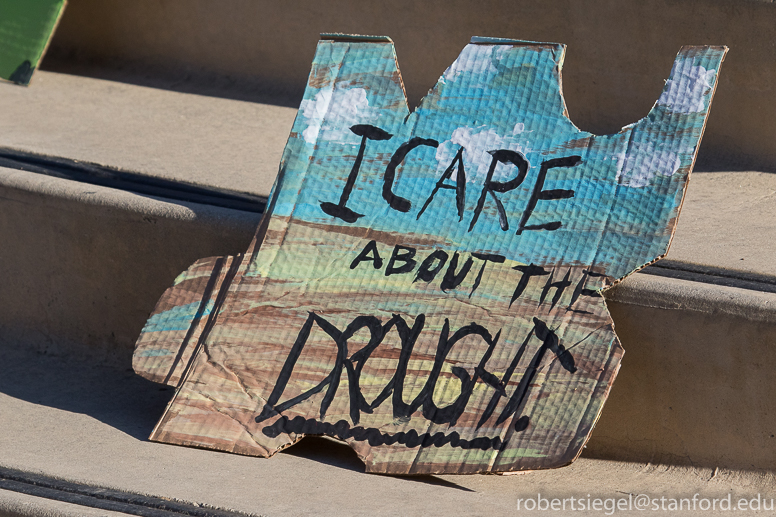 al gore climate rally